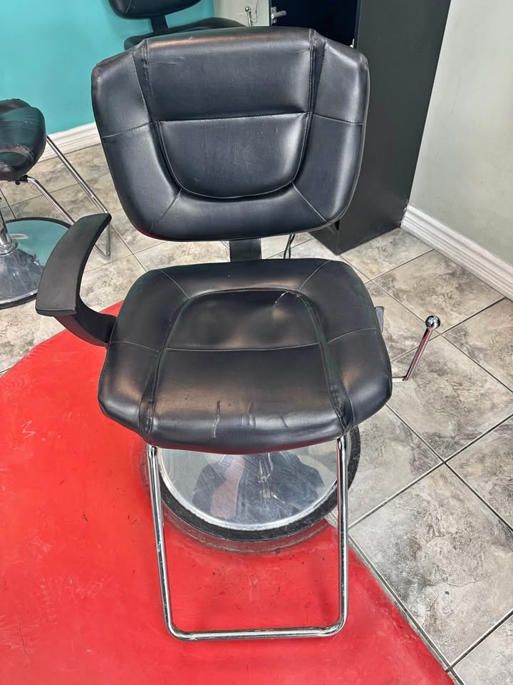 Salon Chair