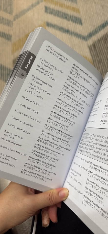 Essential Japanese: Phrase book & Dictionary - photo 3