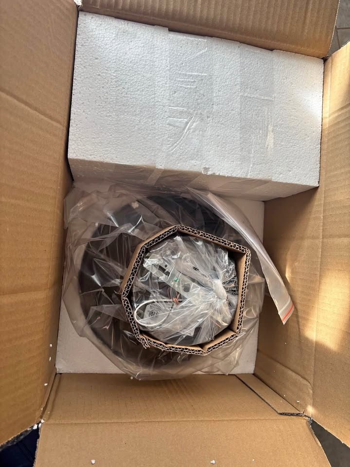 BRAND NEW IN BOX ALAISLYC Ceiling Light