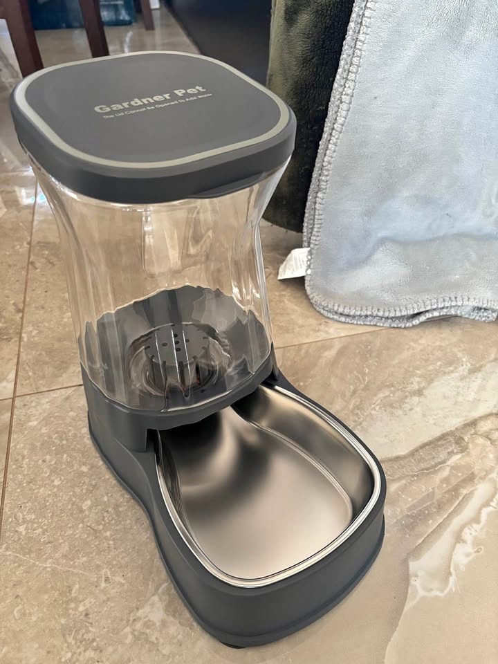 Pet water dispenser