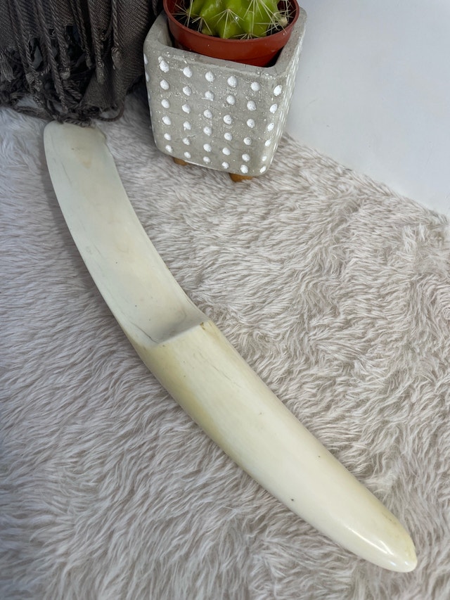 Antique Indigenous Walrus Ivory Tusk Book Page Turner 12"