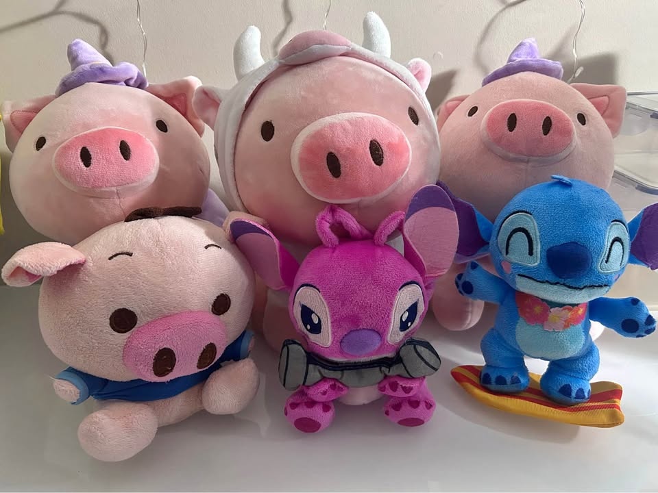 Teddy bear Collections