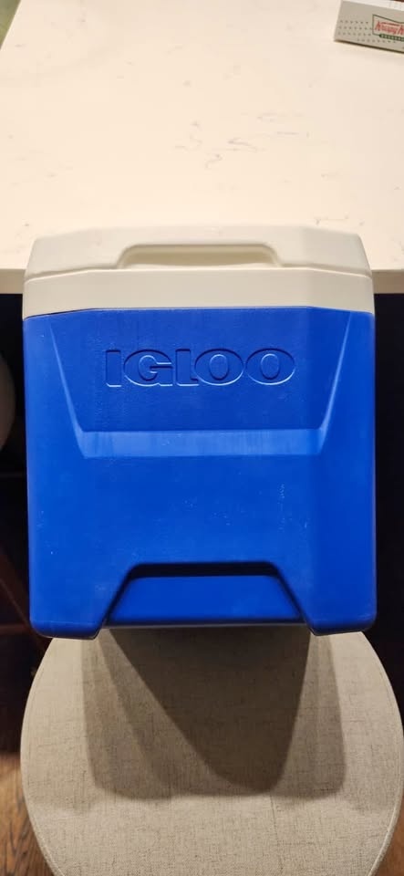 Igloo 11 Quarts Cooler