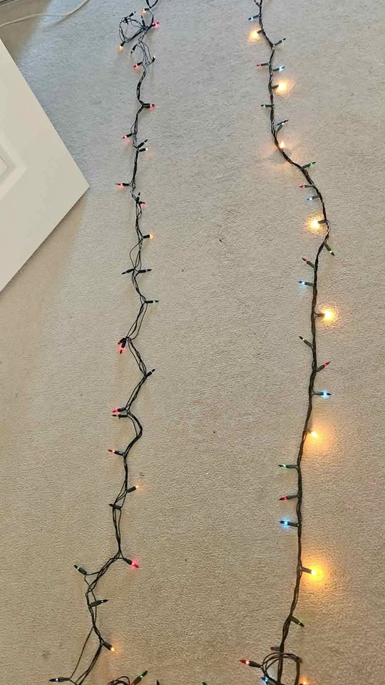 Multi Setting Christmas Lights 2 x 29FT
