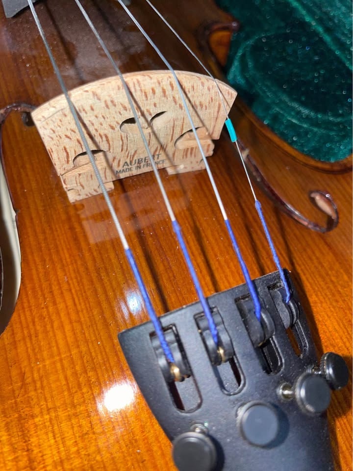 Cremona SV-500 Violin - photo 2
