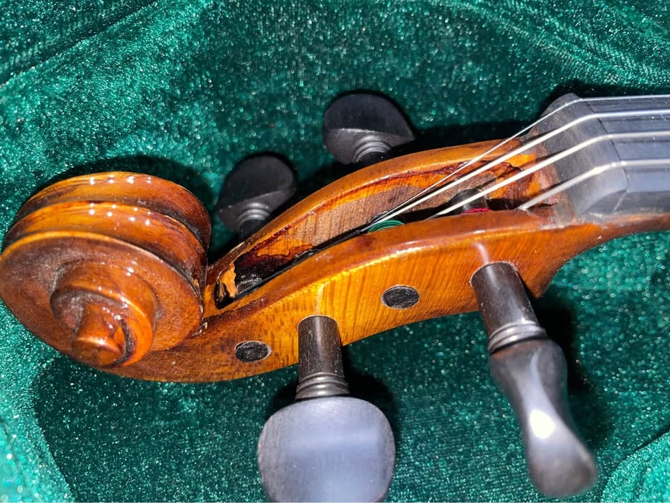 Cremona SV-500 Violin - photo 3