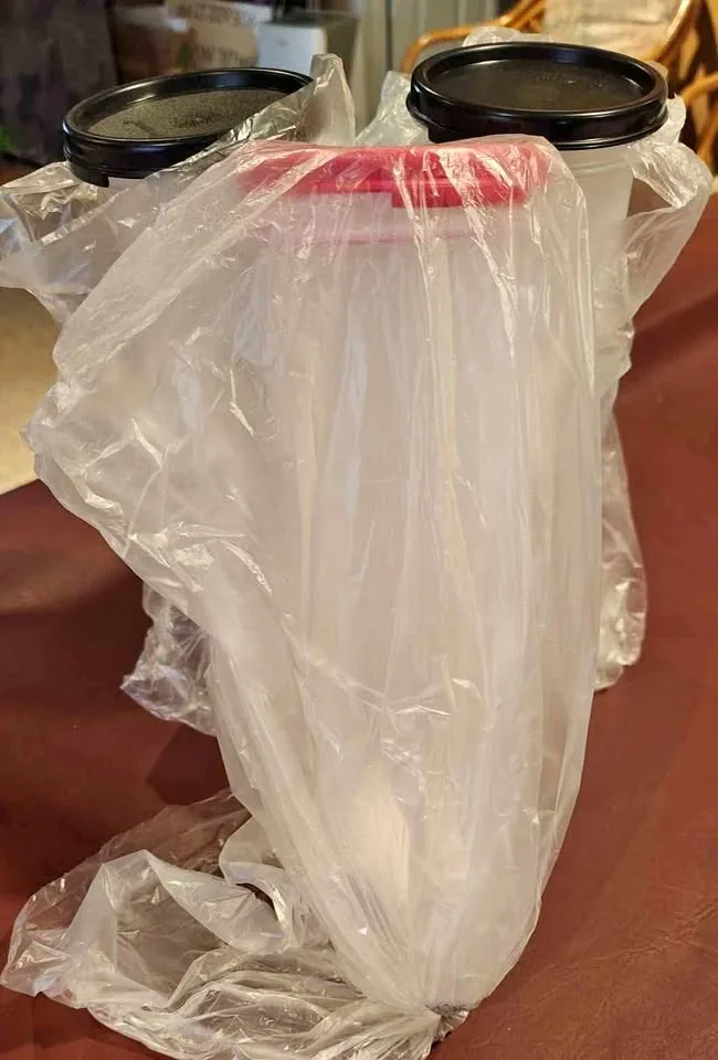 Tupperware Spaghetti Container thumbnail