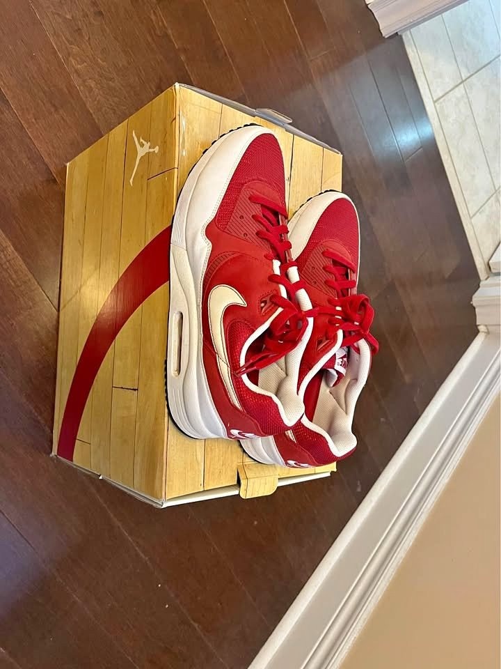 Nike Air Max 90 Size 12