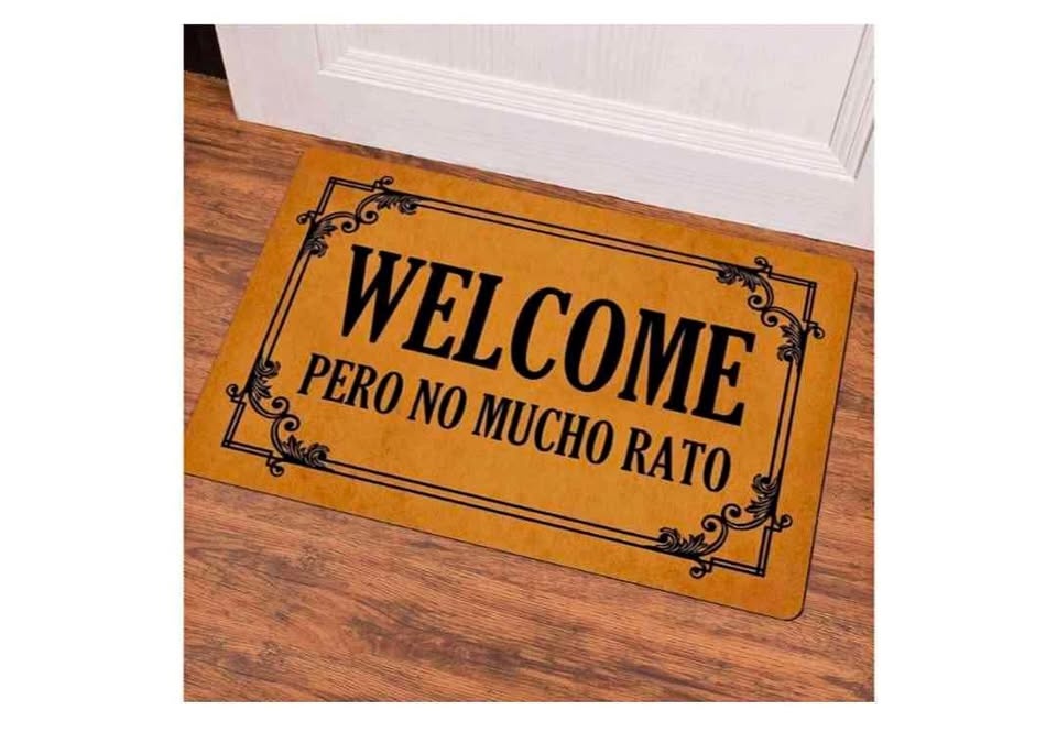 Funny Decorative Entrance Floor Mat (23.6x15.7")