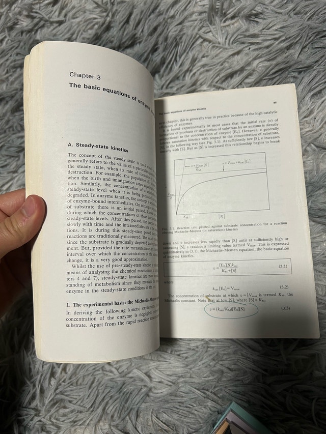 Enzyme Structure and Mechanism — Alan Fersht - photo 2