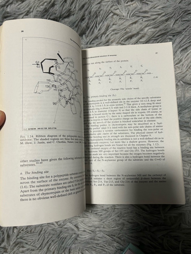 Enzyme Structure and Mechanism — Alan Fersht - photo 3