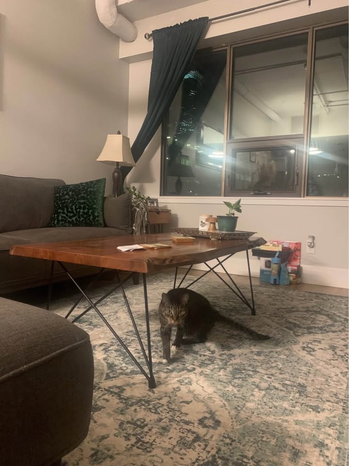 MCM Solid Wood Coffee Table - photo 3