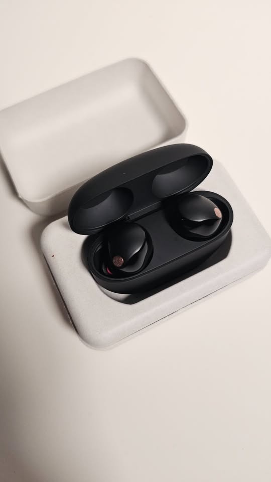 Sony WF-1000XM5 Earbuds - Black
