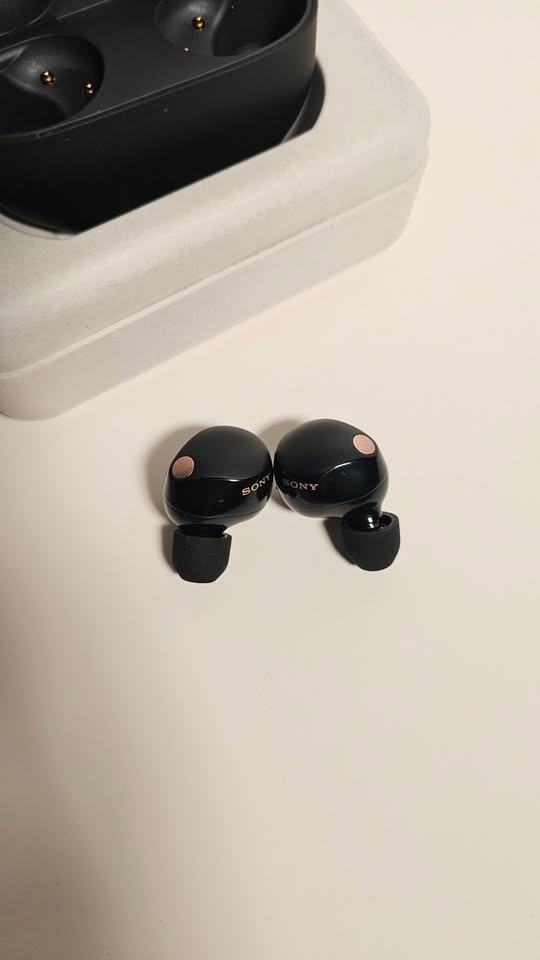 Sony WF-1000XM5 Earbuds - Black - photo 4