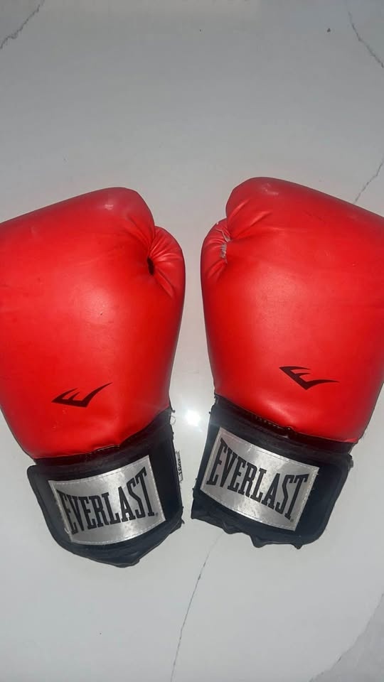 Everlast Boxing Gloves 16oz