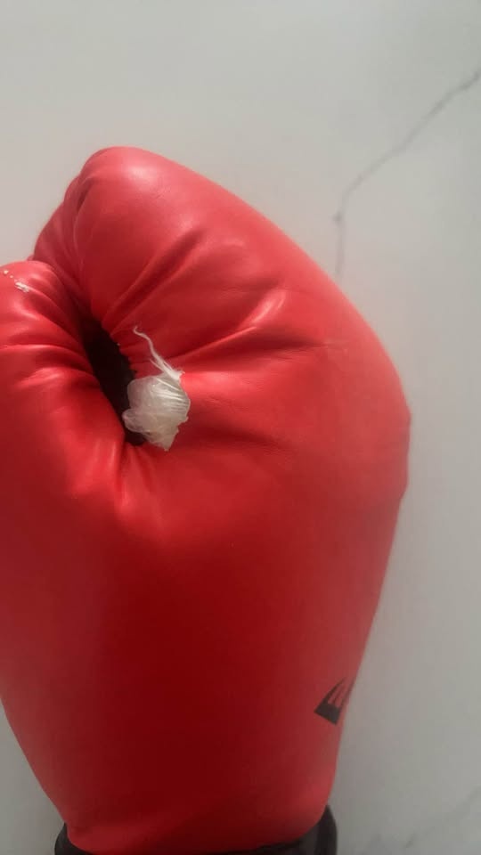 Everlast Boxing Gloves 16oz - photo 3
