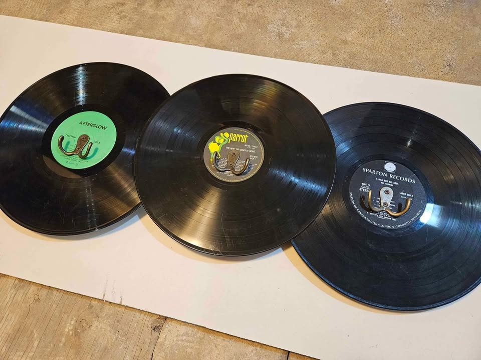 Vinyl Record Coat Rack/Hanger - photo 2