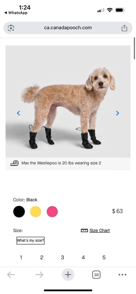 Canada Pooch Waterproof Dog Boots Size 1