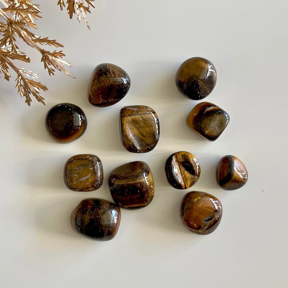 Tiger Eye Small Tumbles #1