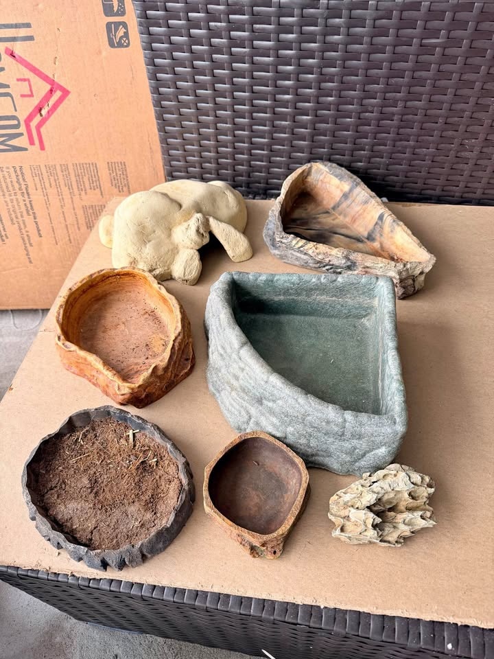 Reptile Tank Decor and Bowls