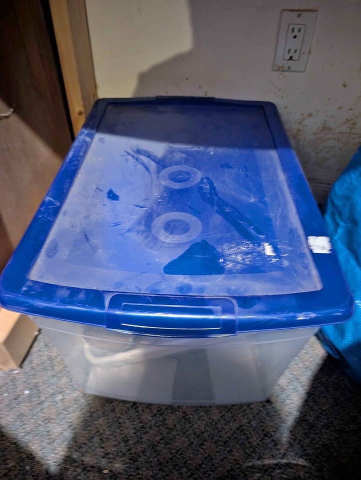 Omnibox Storage Bin