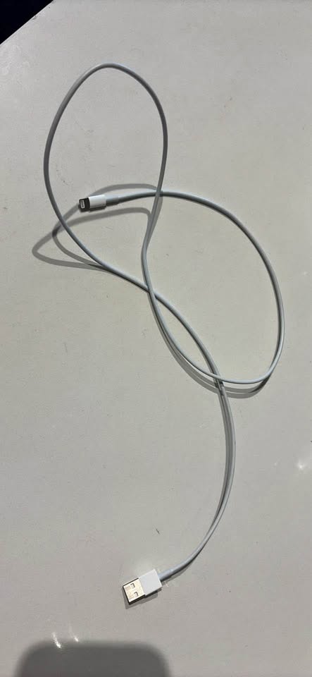 Apple Lightning Cable