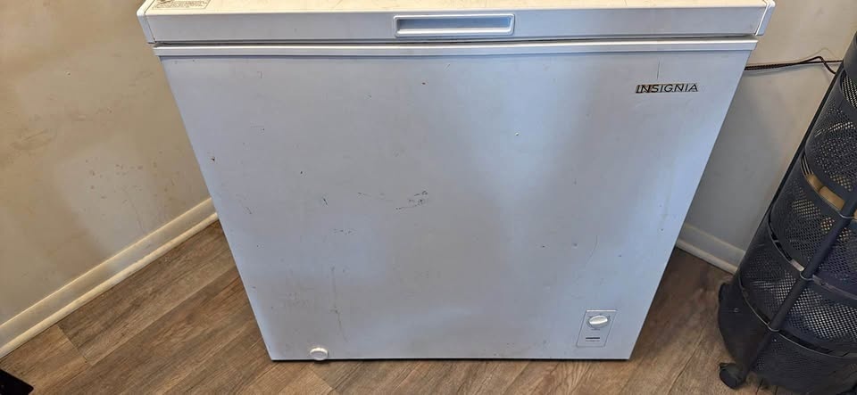Insignia Deep Freezer… NEEDS A CLEANING