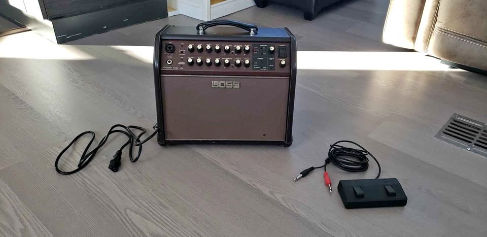 BOSS Acoustic Singer Live Amp