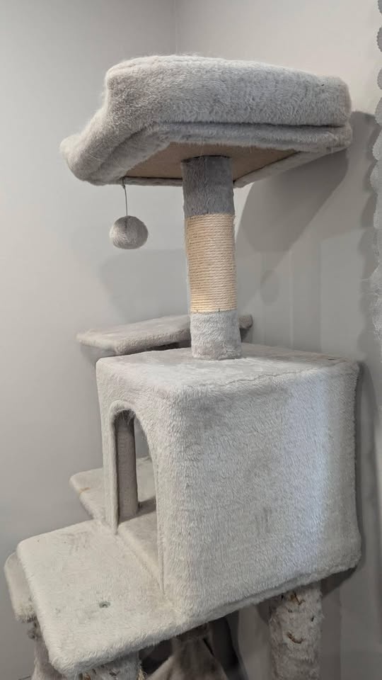 Cat Tree Tower - Needs TLC - photo 2