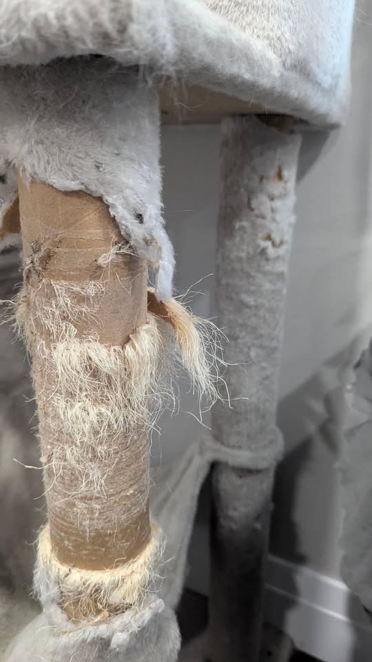 Cat Tree Tower - Needs TLC - photo 3
