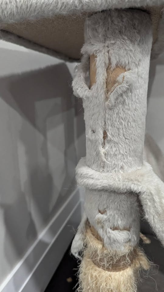 Cat Tree Tower - Needs TLC - photo 4