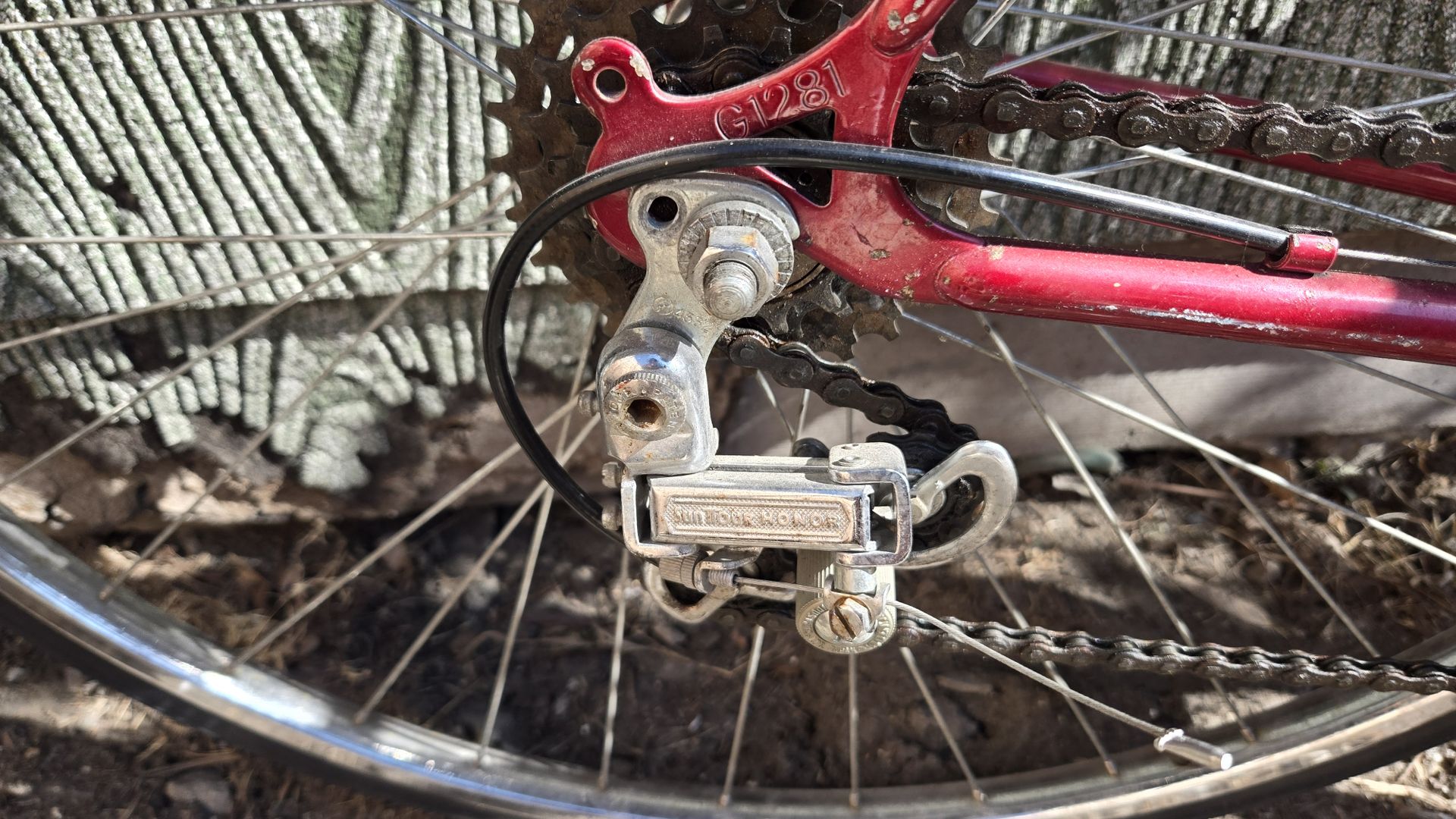 1981 Woman Schwinn World Sport - photo 3