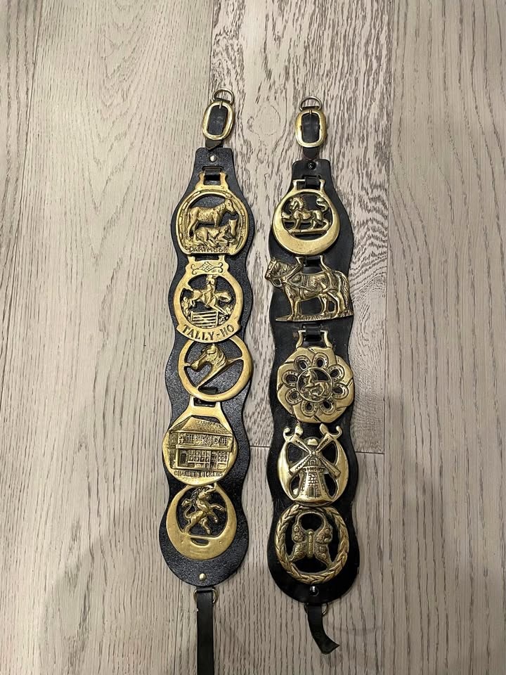 Vintage Solid Brass Horse Medallion Display Straps – Equestrian
