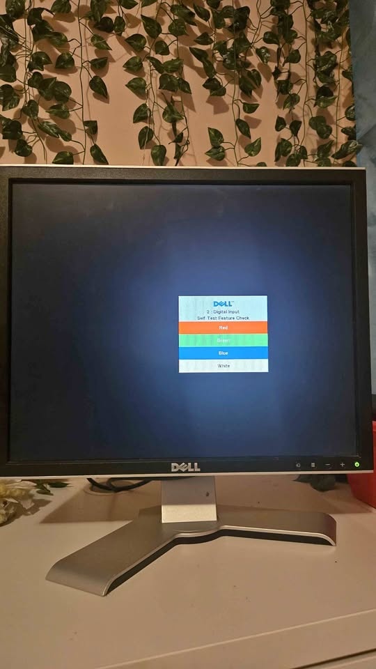 Retro 19inch Dell Monitor