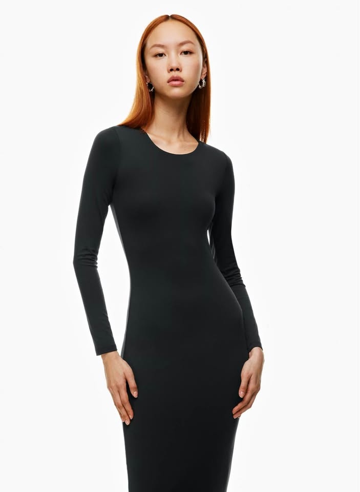 Aritzia Contour Dress