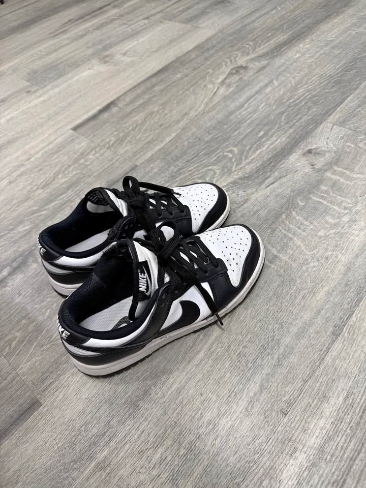 Women’s Nike Dunk Size 6