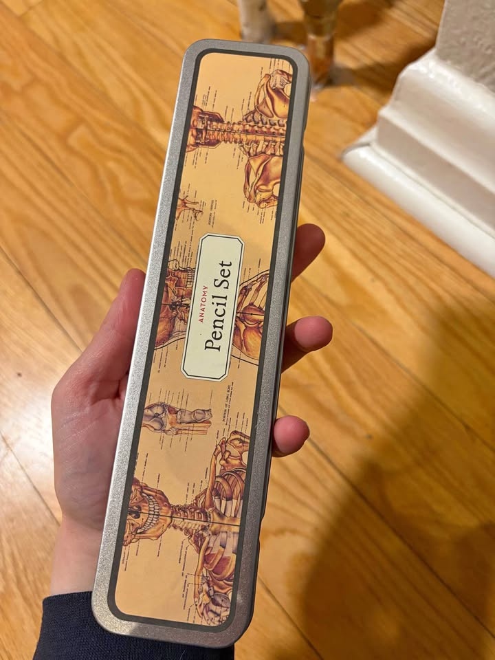 Anatomy Pencil Set