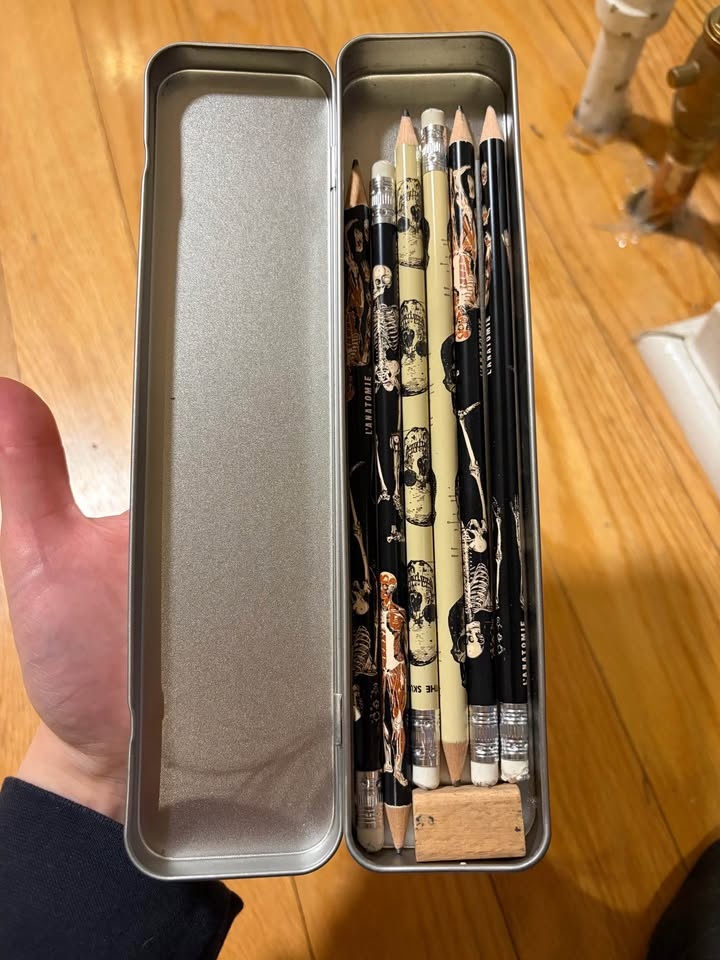Anatomy Pencil Set - photo 2