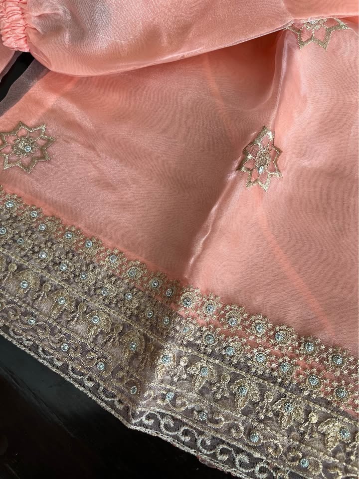 Beautiful Embroidered Gharara set in soft peach color - photo 4
