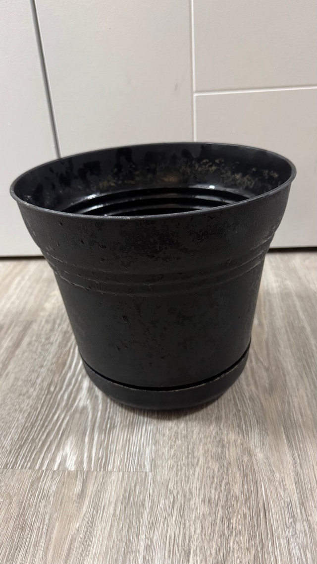 Bloem Living 10 inch Black Saturn Planter with Saucer
