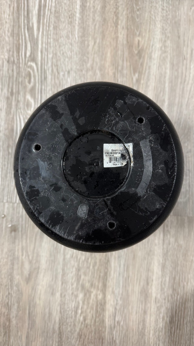 Bloem Living 10 inch Black Saturn Planter with Saucer - photo 3