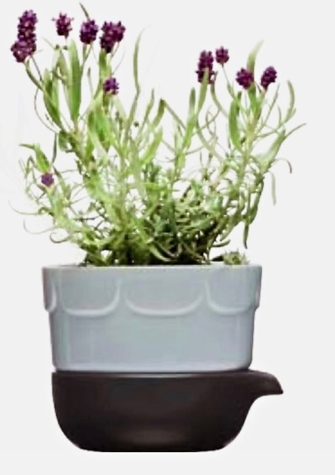 Sagaform Lavender Blue Herb Pot/Planter