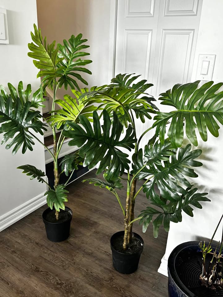 2 Artificial/Fake Plants ($30 each)