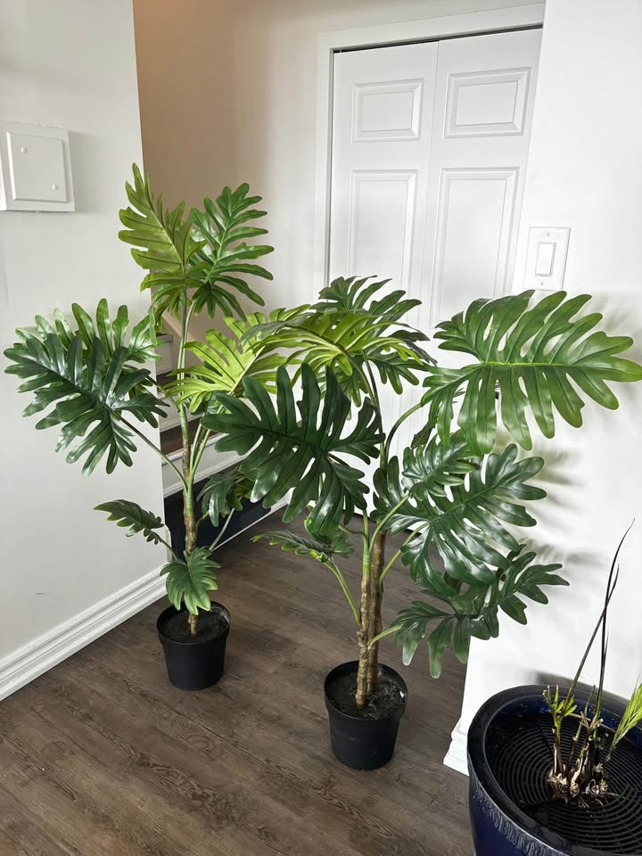 2 Artificial/Fake Plants ($30 each) - photo 3
