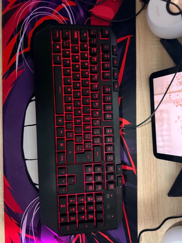 ASUS RGB Gaming Keyboard + SteelSeries Rival 3 (Gen 2) - photo 2