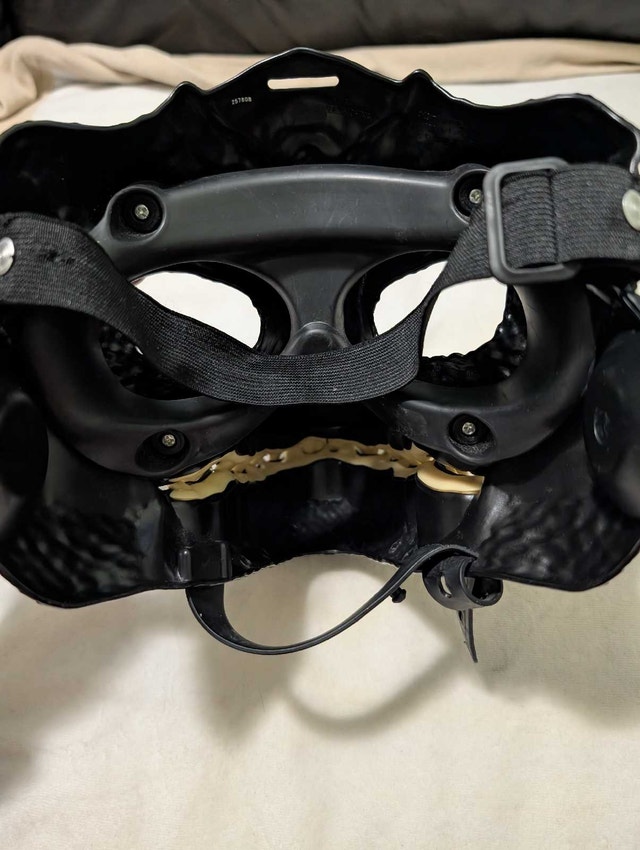 Dinosaur Mask - photo 3
