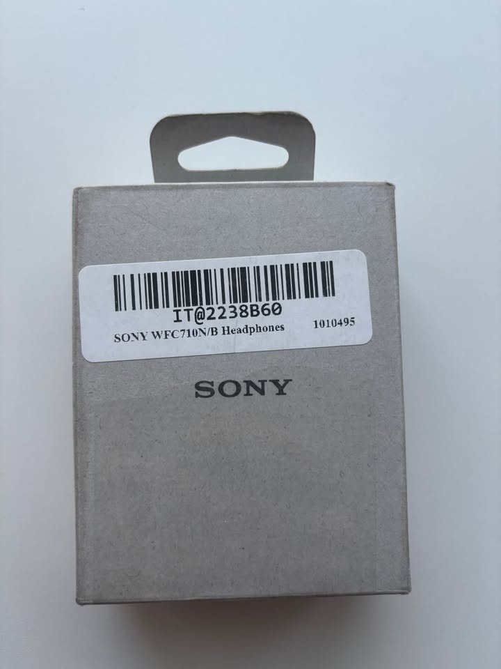 Sony WF-C710N Truly Wireless In-Ear Bluetooth Headphones – Black - photo 2