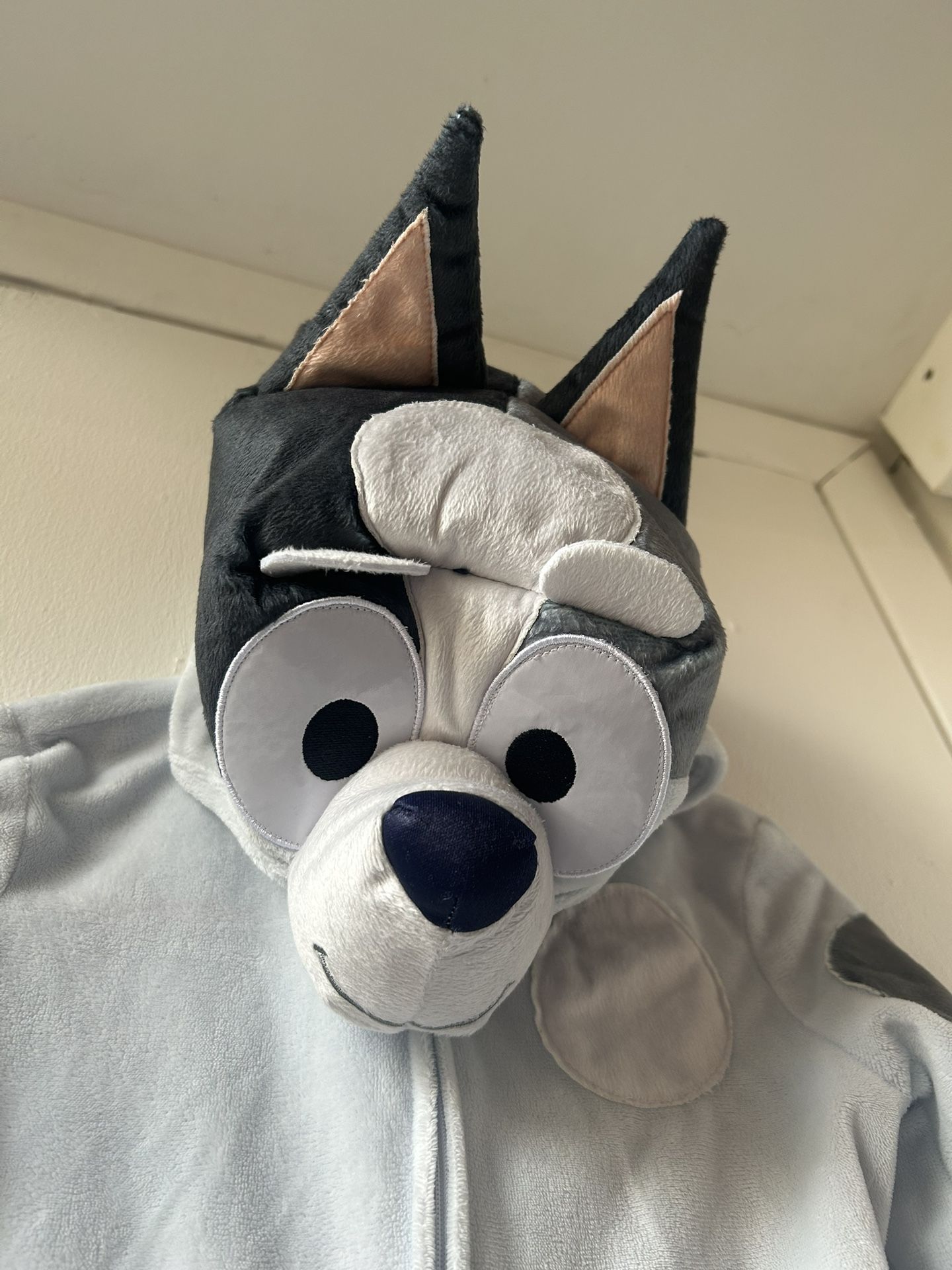 Bluey Custom 3-4T - photo 2