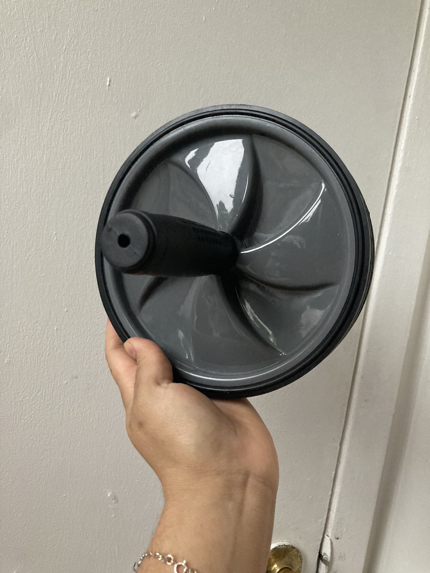 Ab Roller Wheel - photo 2