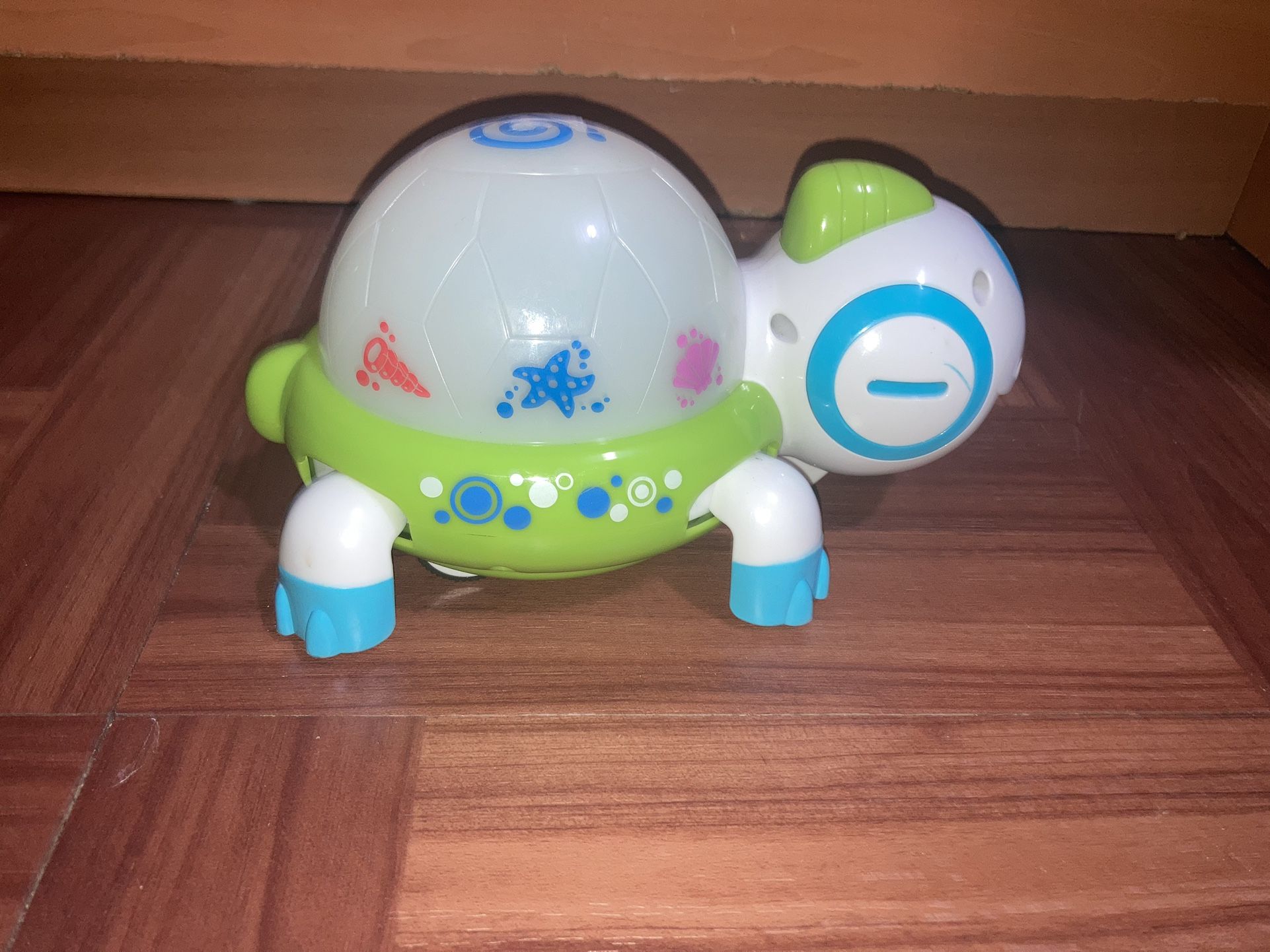 Musical Turtle Toy
